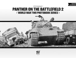 Panther on the Battlefield 2