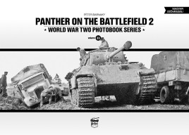 Panther on the Battlefield 2