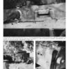 Tiger I: Technical and Operational History, Volume 3 - Image 2