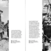 Wiking Sommer: III. Bataillon, SS-Panzergrenadier Regiment 9 "Germania", Eastern Poland, 24 July - 10 August 1944 - Special Edition - Image 9
