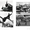 KG 40: The Luftwaffe’s Multi-Role Strike Wing (1940-1945) - A History - Image 3